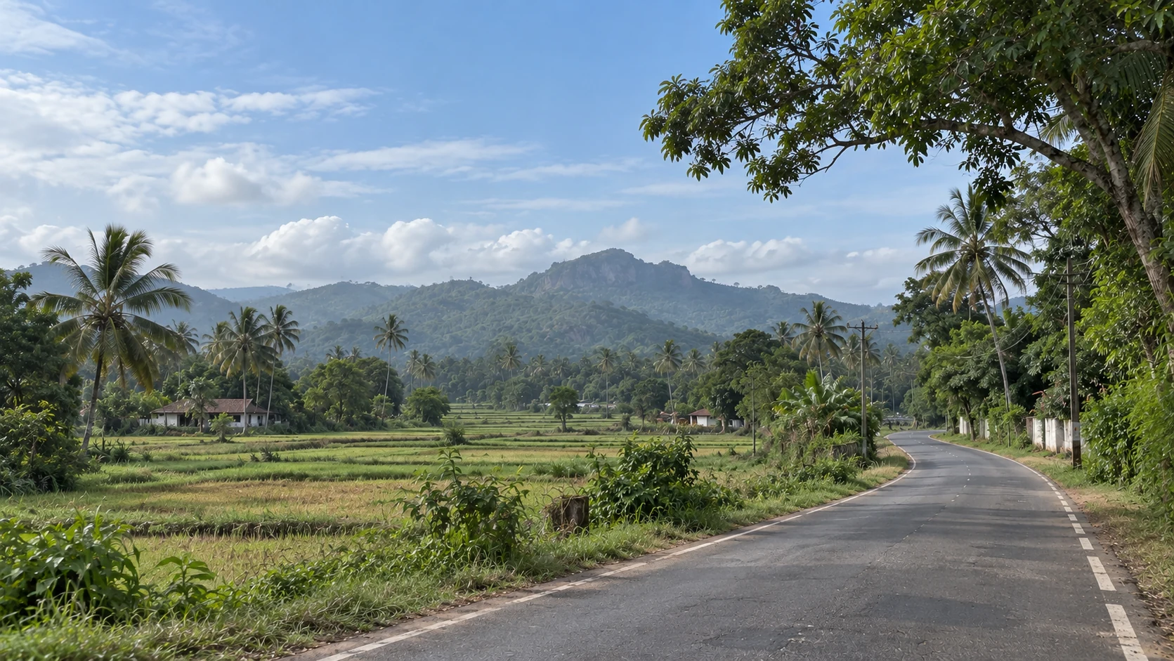 Scenic road through Sri Lanka’s lush tropical landscape